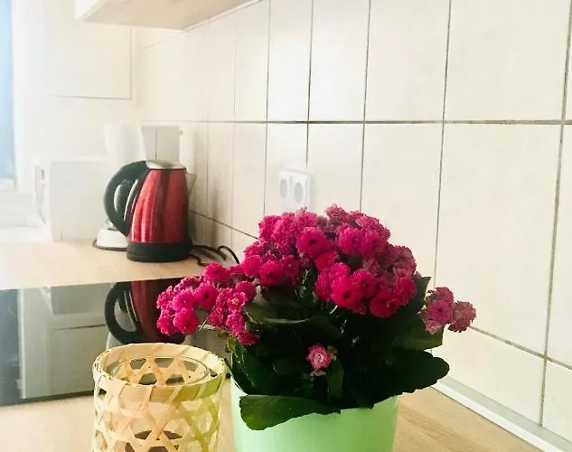 Apartament Ulika Umag