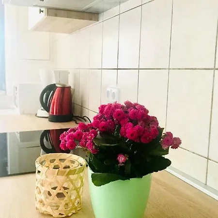 Apartament Ulika Umag